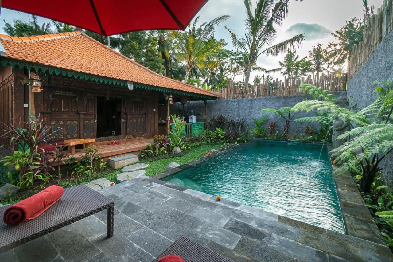 Pousada The Forest Ubud