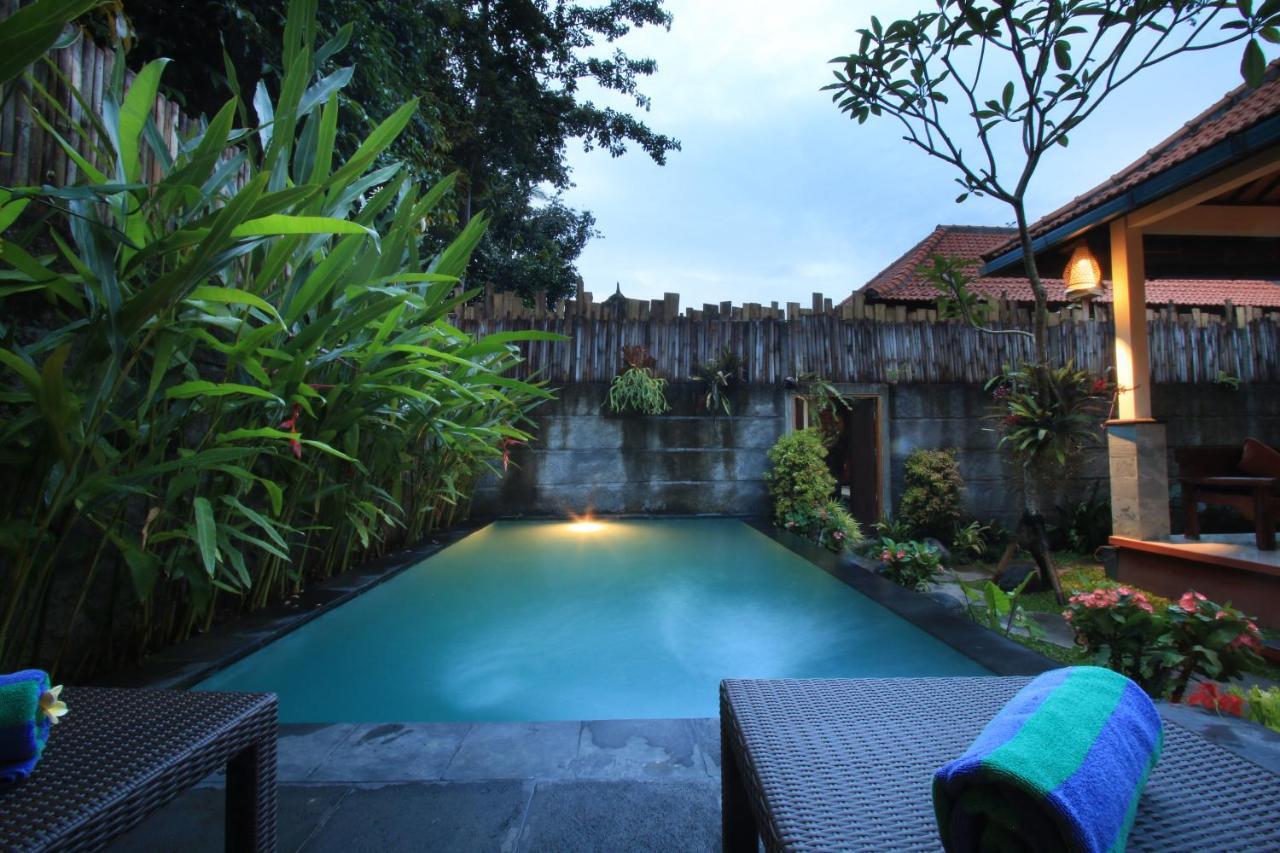 The Forest * Ubud