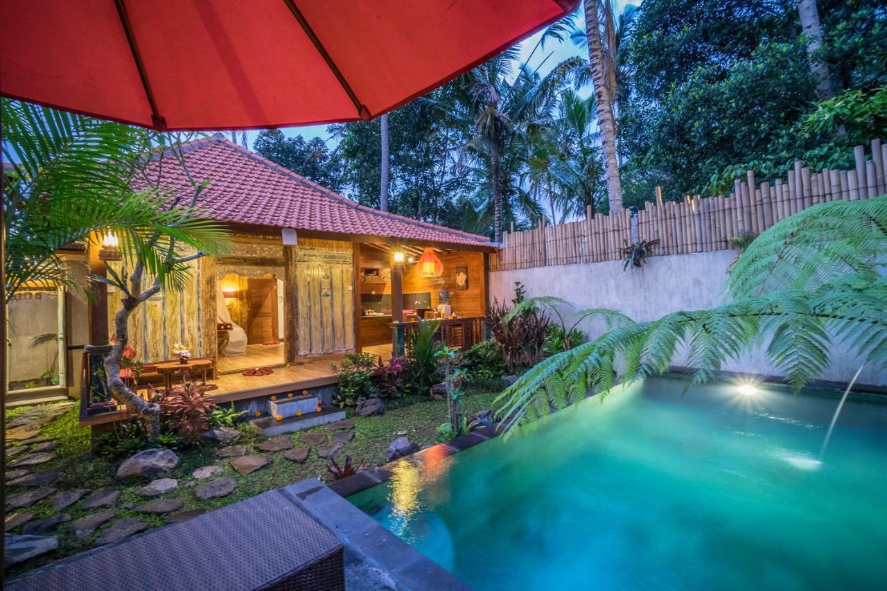 The Forest Villa *